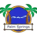 Palmspring Palmspring